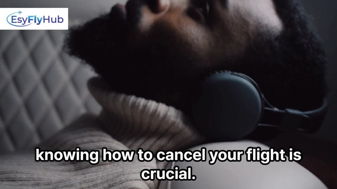 How to Cancel the Turkish Airlines Flight