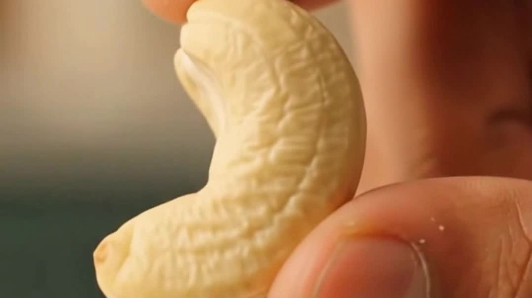 🥜 Enjoy the Rich Taste of Premium Cashews with Pushtiveda! ✨